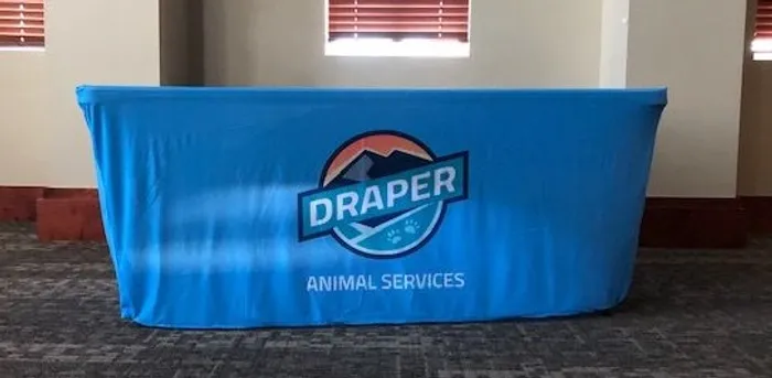 CustomFlyingDiscs.Com