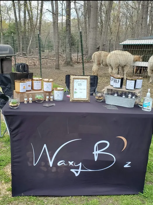 CustomFlyingDiscs.Com