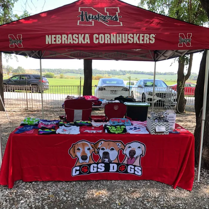 CustomFlyingDiscs.Com