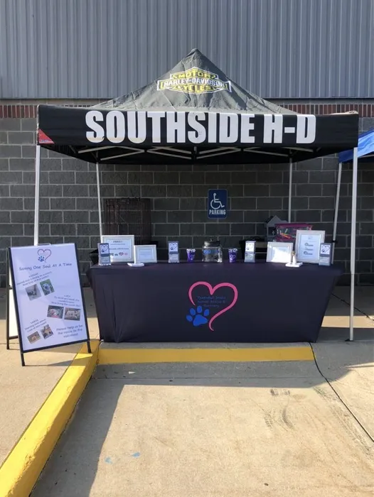 CustomFlyingDiscs.Com