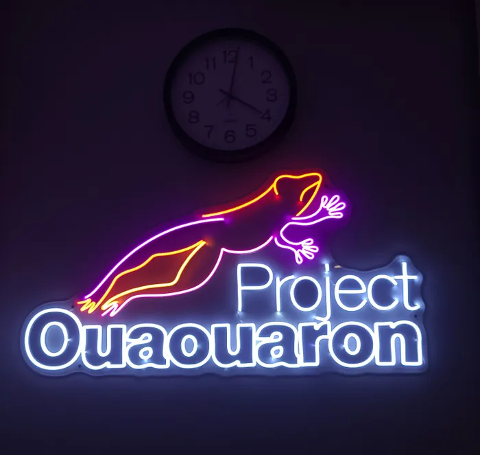 CustomFlyingDiscs.Com