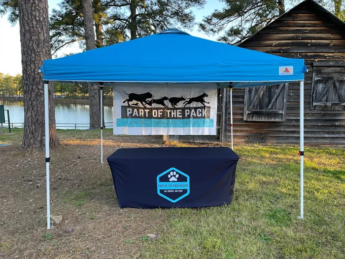 CustomFlyingDiscs.Com