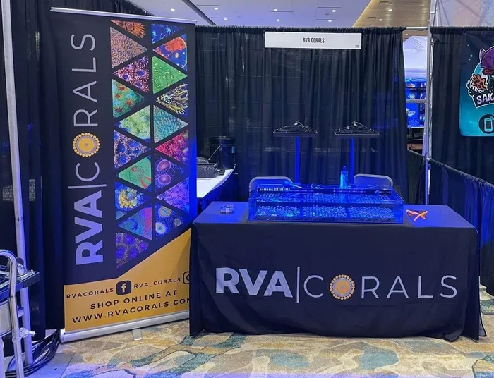 CustomFlyingDiscs.Com