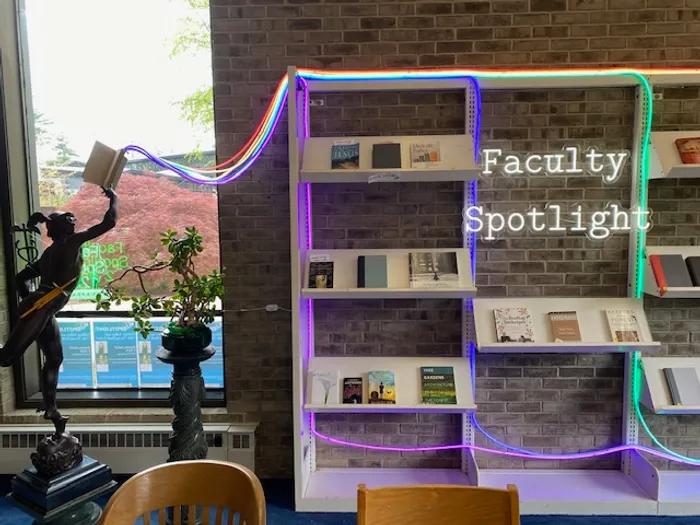 CustomFlyingDiscs.Com