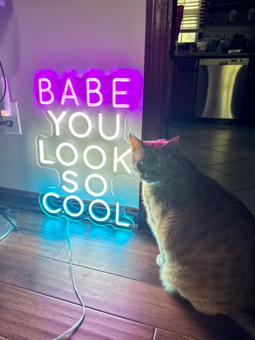 CustomFlyingDiscs.Com