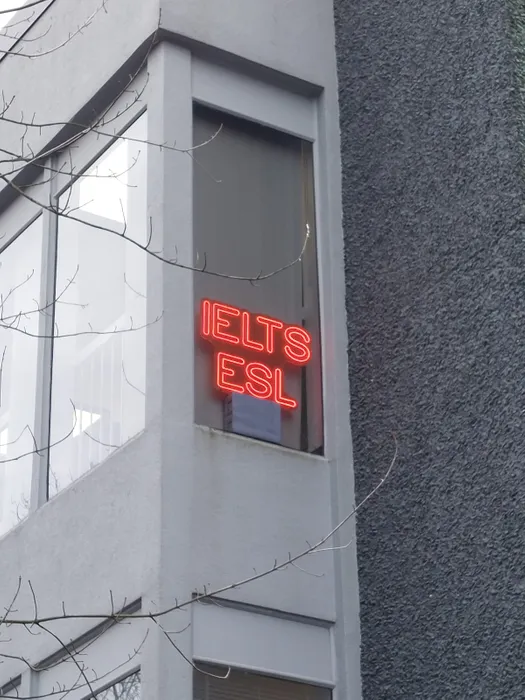 CustomFlyingDiscs.Com - Custom Neon Sign