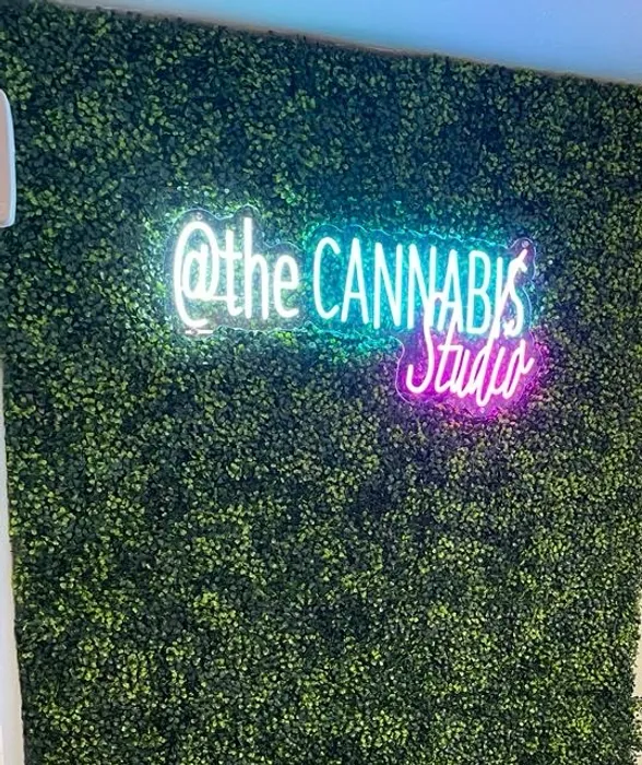 CustomFlyingDiscs.Com - Artwork Neon Sign