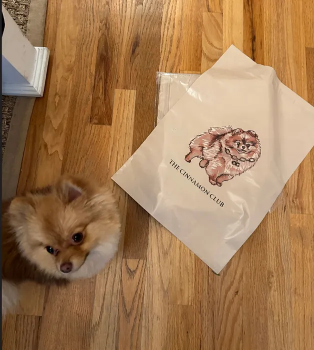 CustomFlyingDiscs.Com - Custom Poly Mailer