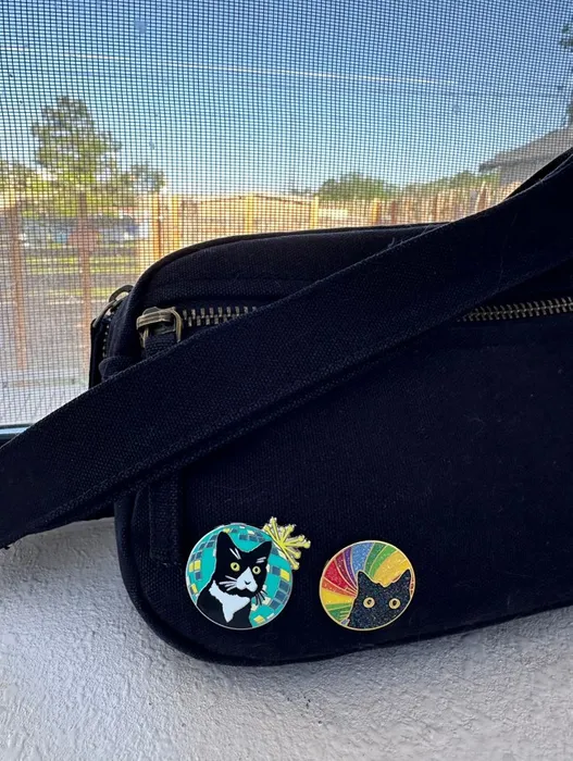 CustomFlyingDiscs.Com - Hard Enamel Pin