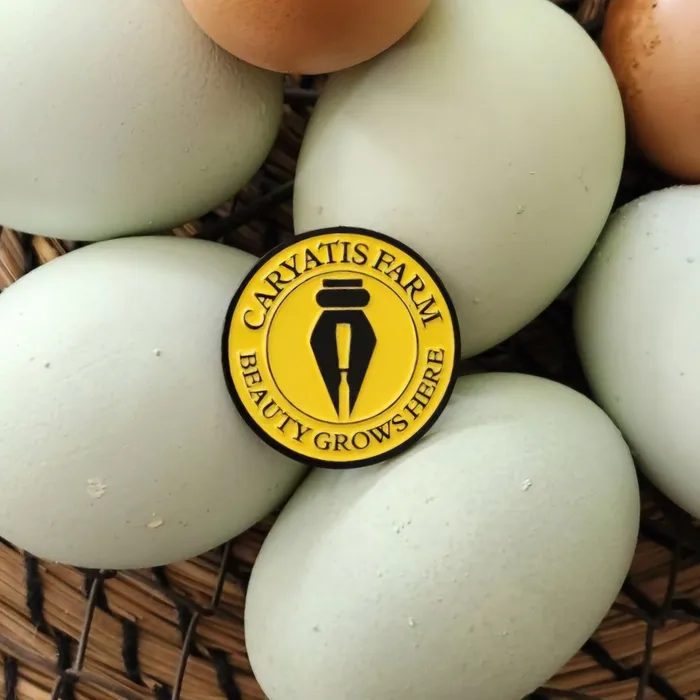 CustomFlyingDiscs.Com - Soft Enamel Pin