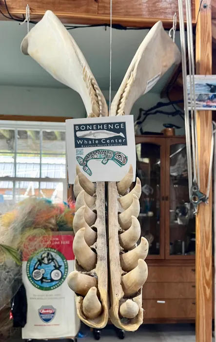 CustomFlyingDiscs.Com - Custom Luncheon Napkin