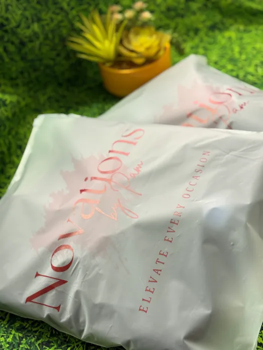 CustomFlyingDiscs.Com - Zipper Frosted Bag