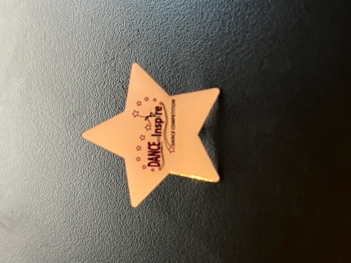 CustomFlyingDiscs.Com - Offset Printing Pin