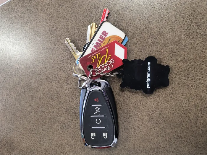 CustomFlyingDiscs.Com - PVC Keychain