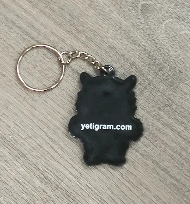 CustomFlyingDiscs.Com