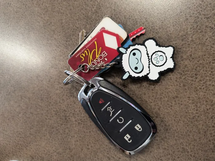 CustomFlyingDiscs.Com