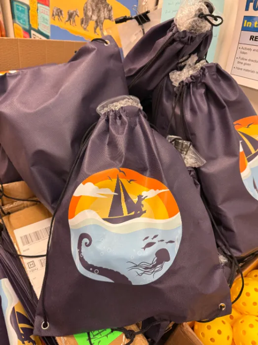 CustomFlyingDiscs.Com - Custom Non-Woven Drawstring Bag