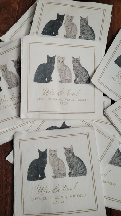 CustomFlyingDiscs.Com - Custom Beverage Napkin