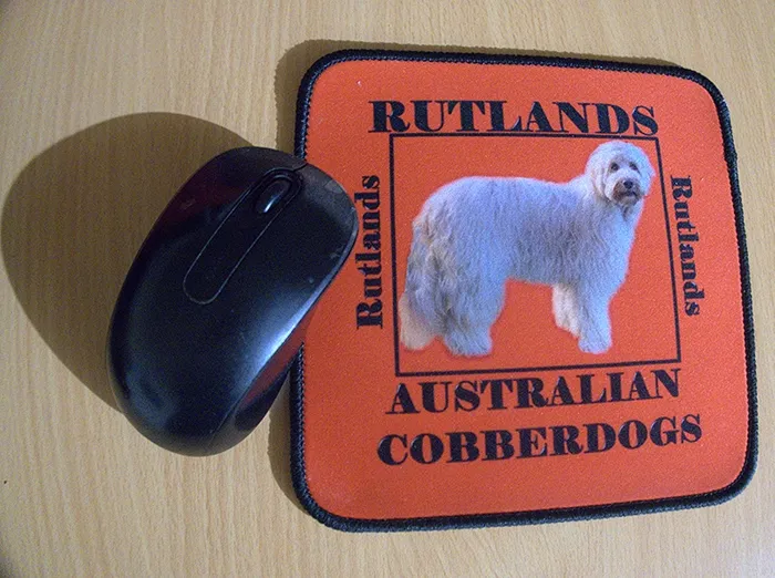 CustomFlyingDiscs.Com - Custom Square Mouse Pad