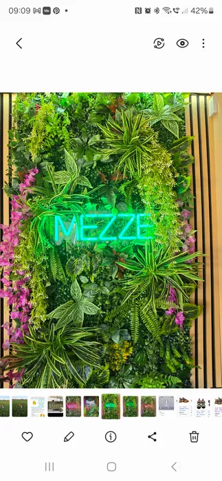 CustomFlyingDiscs.Com - Custom Neon Sign