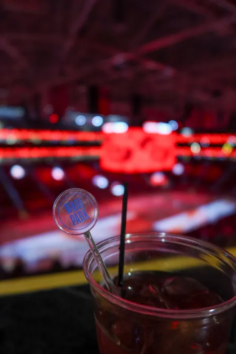 CustomFlyingDiscs.Com - Transparent Stir Sticks