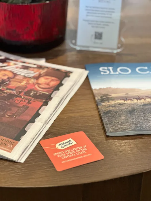 CustomFlyingDiscs.Com - Super Absorbent Bar Coaster