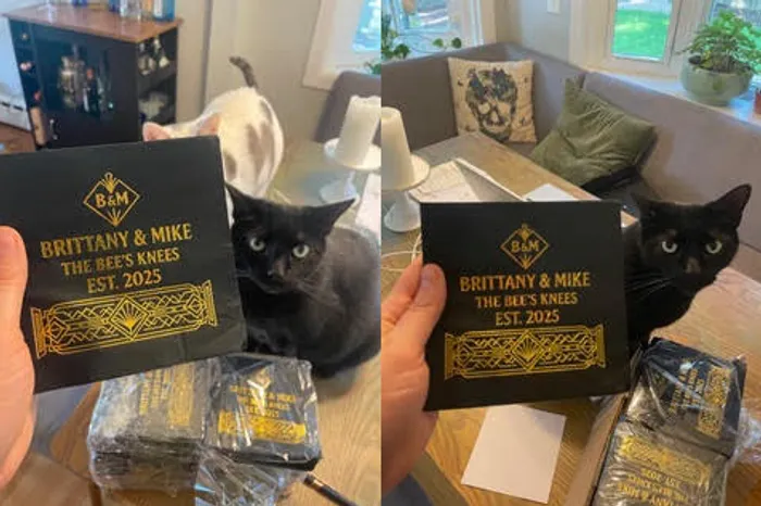 CustomFlyingDiscs.Com - Custom Foil Stamped Beverage Napkin