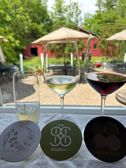 CustomFlyingDiscs.Com - Pulpboard Coasters