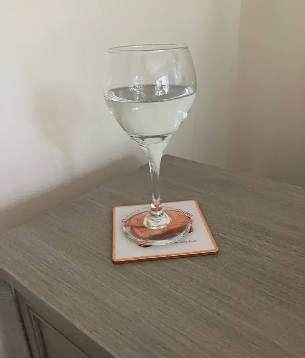 CustomFlyingDiscs.Com - Cork Coasters