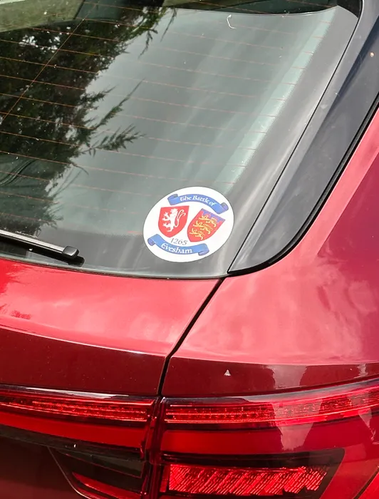 CustomFlyingDiscs.Com - Bumper Stickers