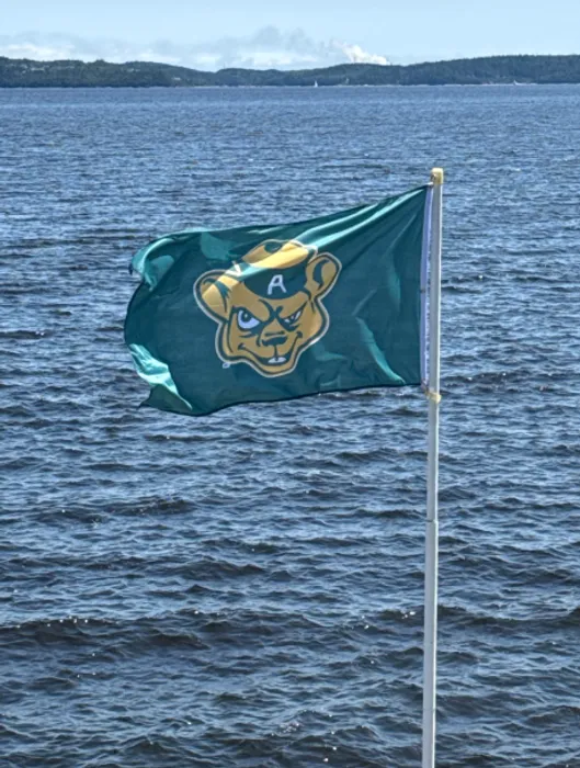 CustomFlyingDiscs.Com - Rectangle Flag