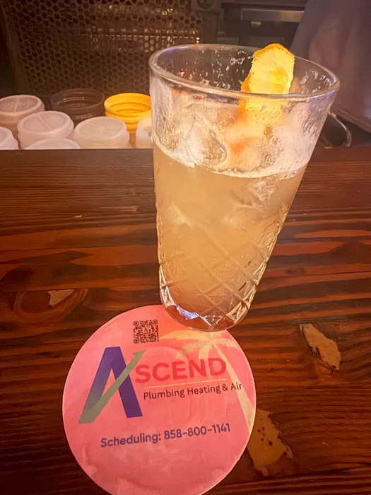 CustomFlyingDiscs.Com - Super Absorbent Bar Coaster