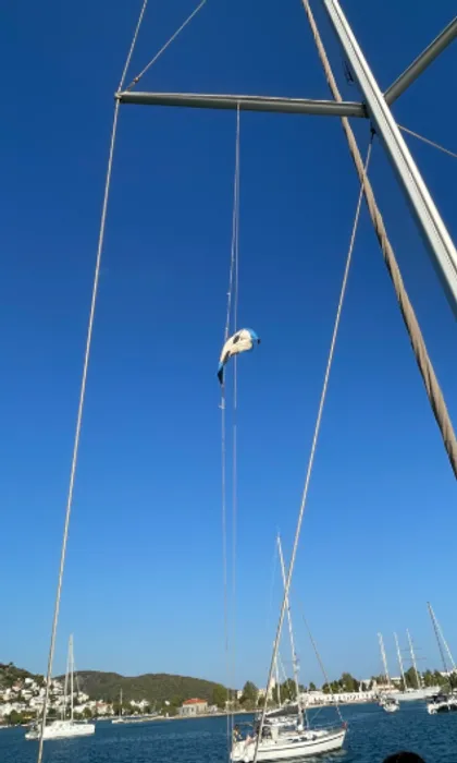 CustomFlyingDiscs.Com - Burgee Flag