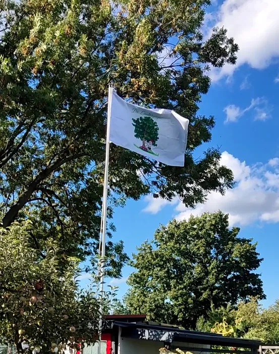 CustomFlyingDiscs.Com - Rectangle Flag