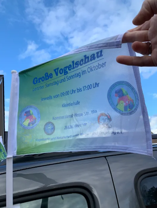 CustomFlyingDiscs.Com - Car Flag