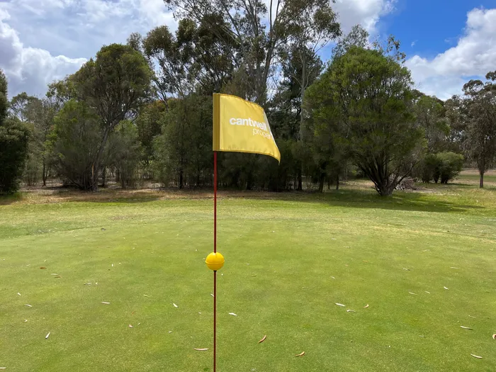 CustomFlyingDiscs.Com - Golf Flag