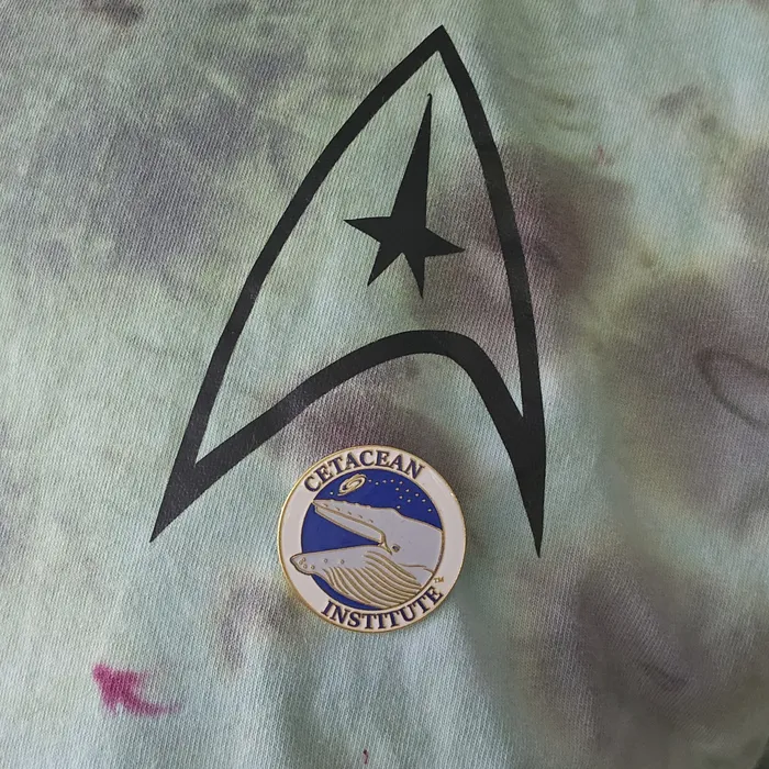 CustomFlyingDiscs.Com - Hard Enamel Pin
