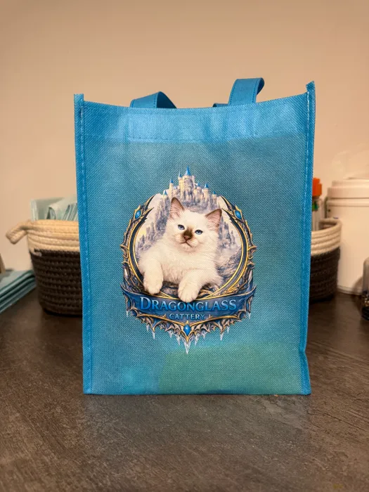 CustomFlyingDiscs.Com - Custom Small Gift Tote Bag