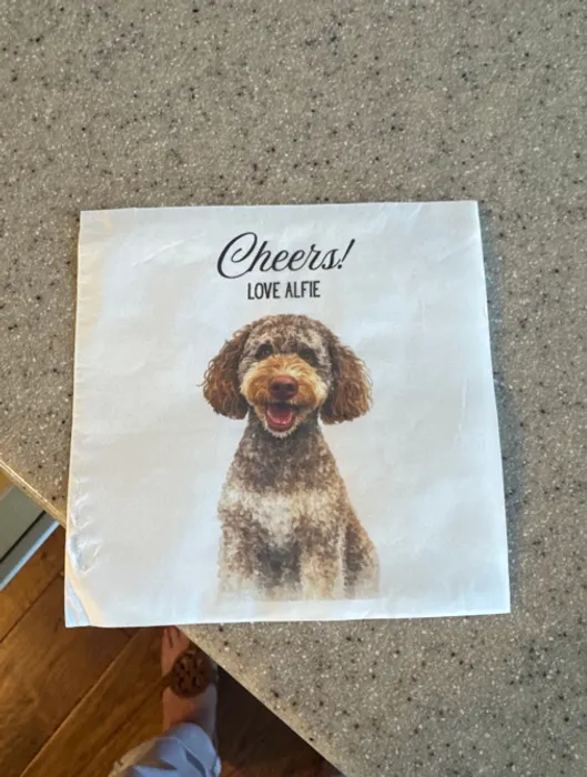 CustomFlyingDiscs.Com - Custom Paper Beverage Napkin