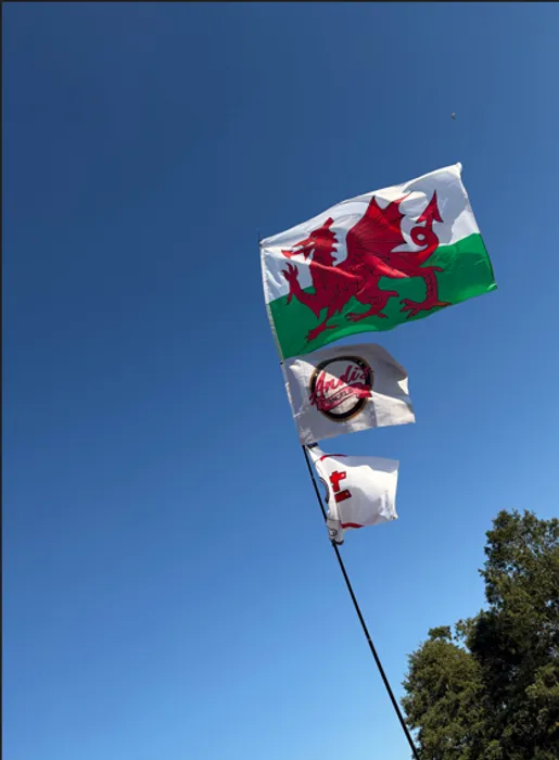 CustomFlyingDiscs.Com - Rectangle Flag
