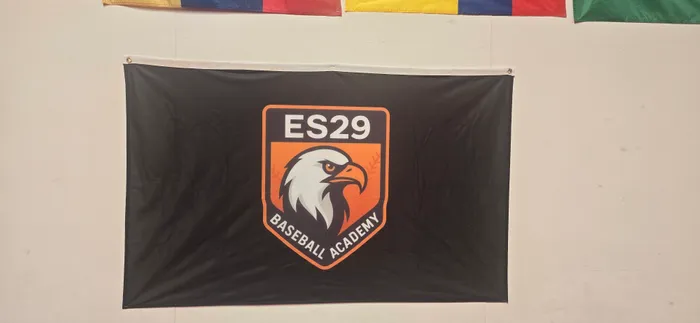 CustomFlyingDiscs.Com - Rectangle Flag