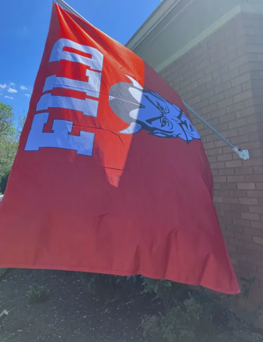 CustomFlyingDiscs.Com - Rectangle Flag