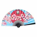 Accordion Hand Fan