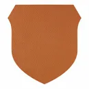 Shape 31 Shape 31 - Custom Flying Discs