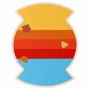 Shape 13 - Custom Flying Discs