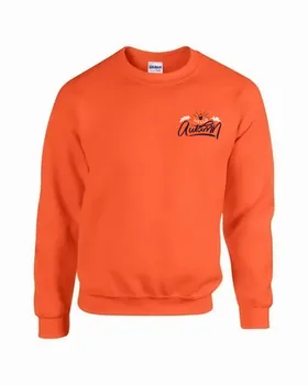 Sweatshirts - Custom Flying Discs