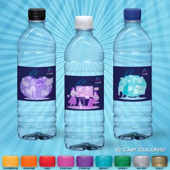Bottled Water - Custom Flying Discs
