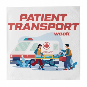 Napkins - Custom Flying Discs