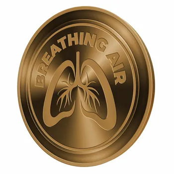 Challenge Coins - Custom Flying Discs