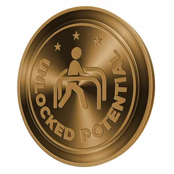 Challenge Coins - Custom Flying Discs